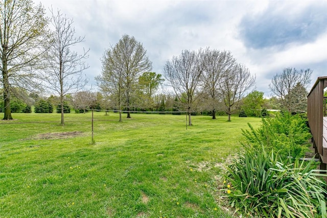 view of yard