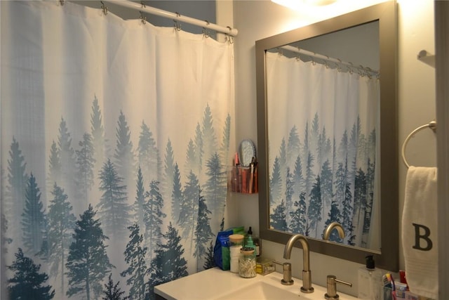 855 Center Pt NE, Cedar Rapids, IA 52402 - bathroom with vanity and a shower with shower curtain
