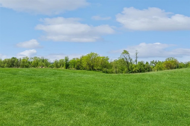 view of nature