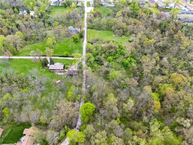 bird's eye view
