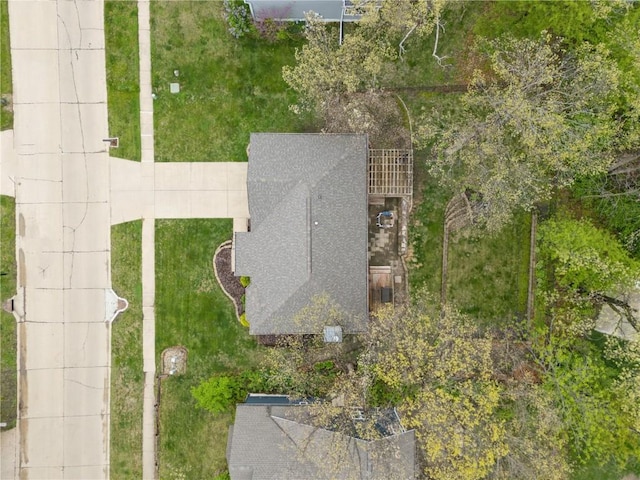 bird's eye view