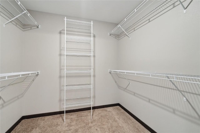walk in closet with carpet