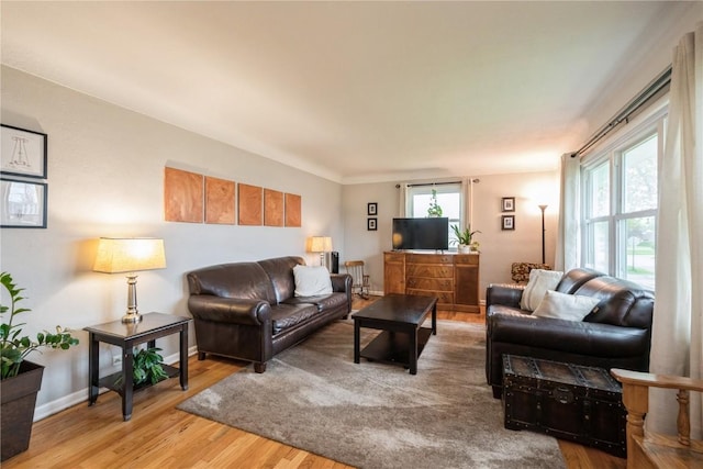 living area with baseboards and wood finished floors