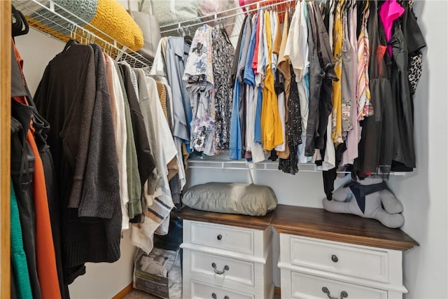 view of spacious closet