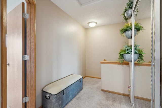 walk in closet with carpet flooring