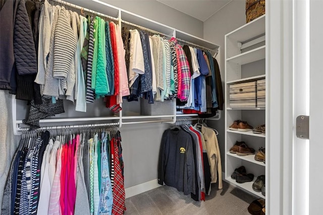 917 Robin Rd, Iowa City, IA 52246 - walk in closet with carpet floors