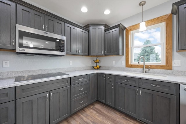 kitchen featuring hanging light fixtures, a sink, dark wood-type flooring, stainless steel microwave, and black electric cooktop