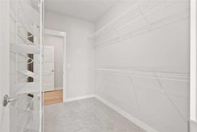 walk in closet featuring carpet