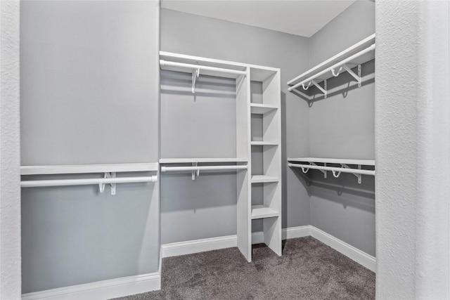 4332 Quail Trail Dr, Marion, IA 52302 - walk in closet with carpet floors