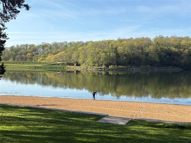 22101 Pleasant Dr, Bernard, IA 52032 - water view featuring a forest