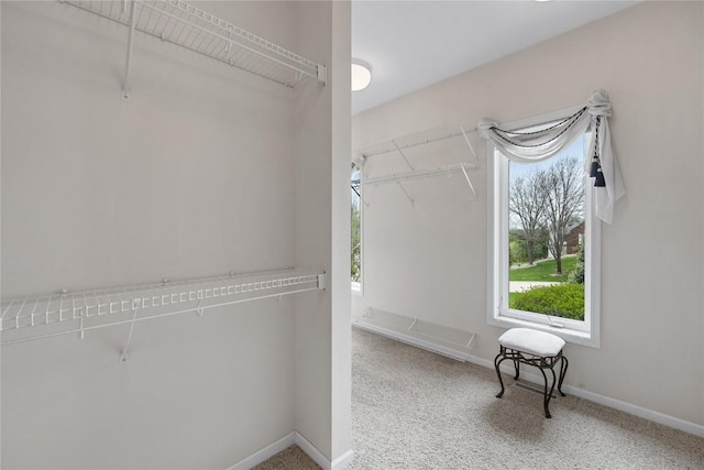 walk in closet with carpet flooring