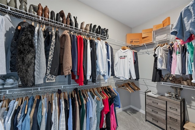 walk in closet with carpet flooring