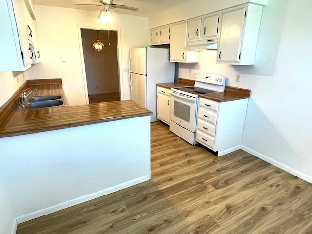 kitchen with under cabinet range hood, baseboards, white appliances, a sink, and wood finished floors