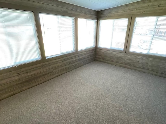 unfurnished sunroom with wooden walls and carpet floors