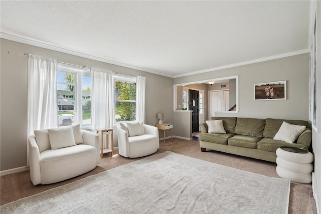 335 Parkland Dr SE, Cedar Rapids, IA 52403 - carpeted living area featuring ornamental molding and baseboards