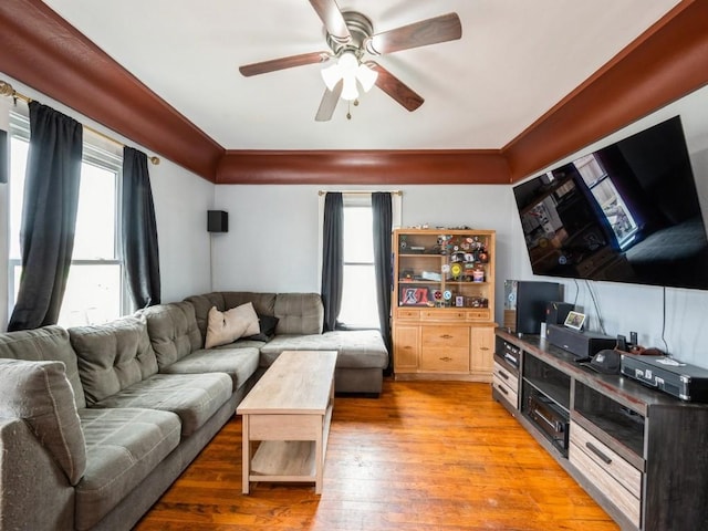 living room with ceiling fan, plenty of natural light, and light wood-style flooring