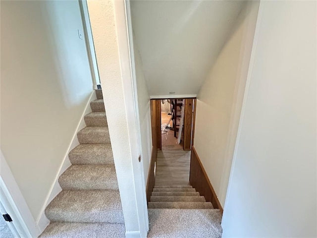2770 24th Ave, Marion, IA 52302 - stairway with carpet floors