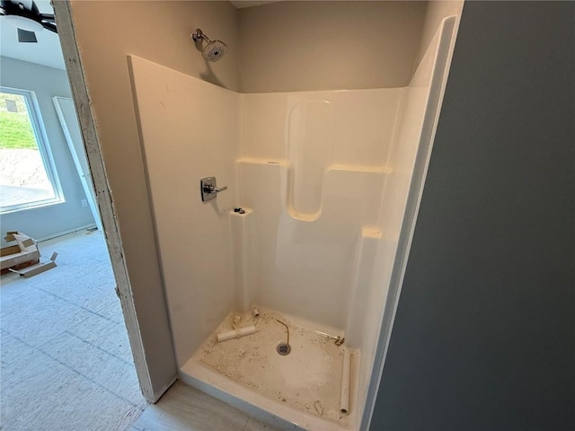 bathroom with a shower stall