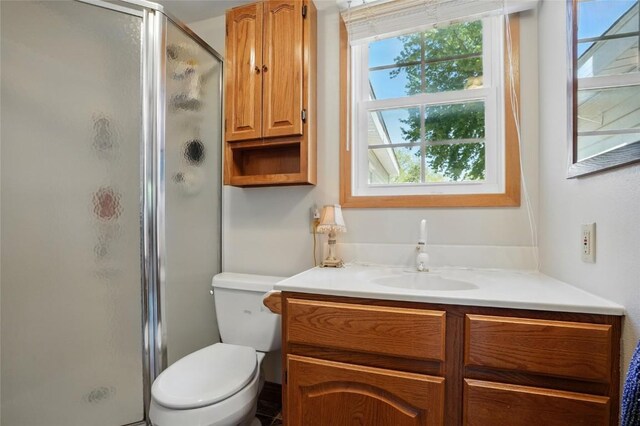 bathroom featuring a shower stall, vanity, and toilet