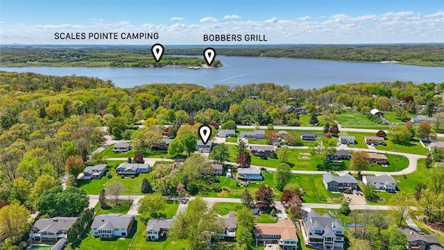 aerial perspective of suburban area with a large body of water and a heavily wooded area