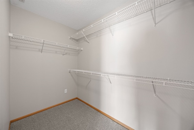 walk in closet featuring carpet