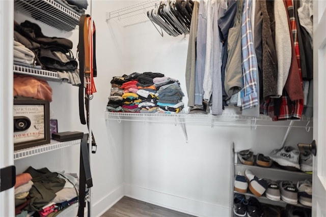 spacious closet featuring wood finished floors