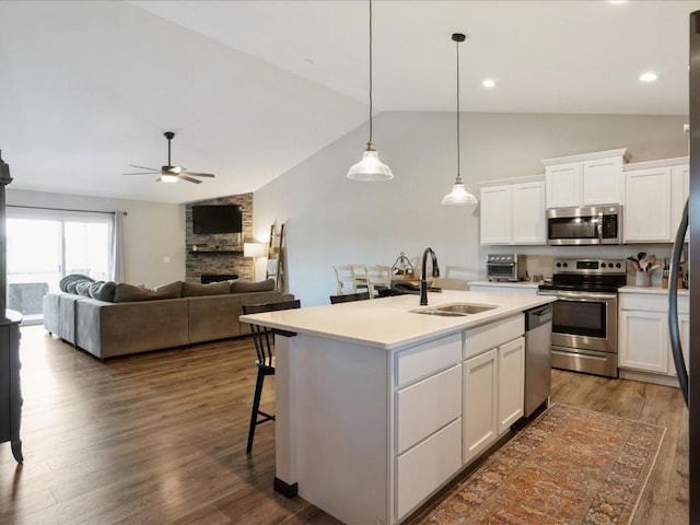 kitchen featuring appliances with stainless steel finishes, a sink, vaulted ceiling, ceiling fan, and a stone fireplace