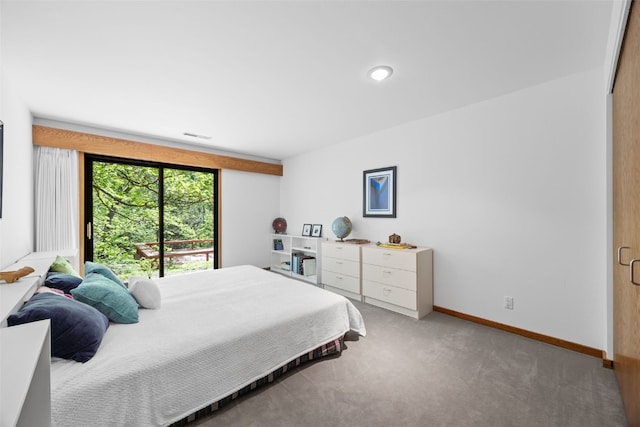 13 Woodland Hts, Iowa City, IA 52240 - carpeted bedroom featuring baseboards