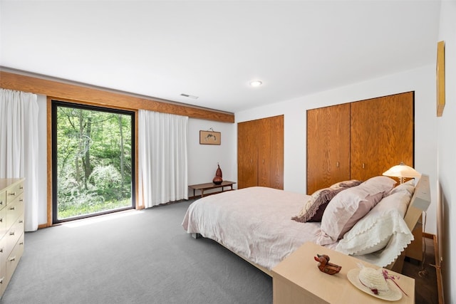 13 Woodland Hts, Iowa City, IA 52240 - carpeted bedroom with multiple closets and recessed lighting