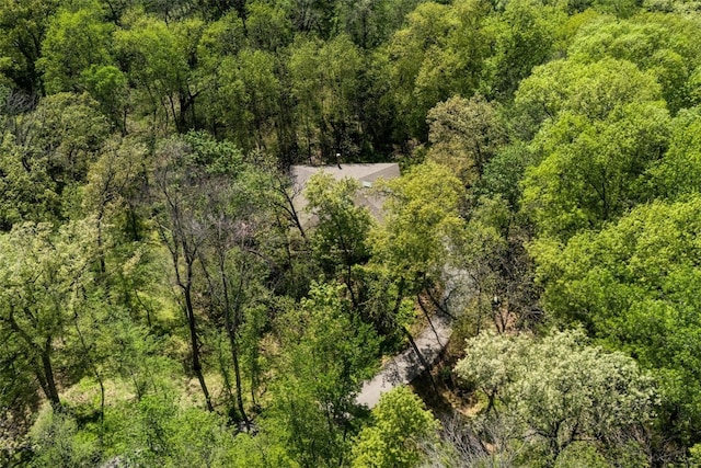 13 Woodland Hts, Iowa City, IA 52240 - aerial view of a heavily wooded area