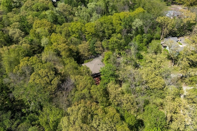 13 Woodland Hts, Iowa City, IA 52240 - aerial view of a forest