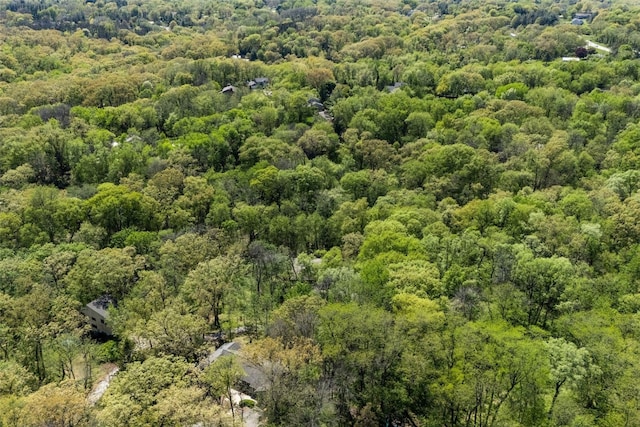 13 Woodland Hts, Iowa City, IA 52240 - bird's eye view of a heavily wooded area