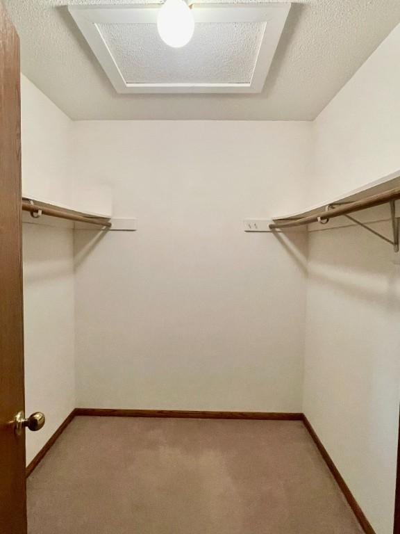 1721 Hidden Hollow Ln, Cedar Rapids, IA 52405 - spacious closet with light carpet