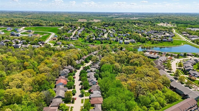 aerial perspective of suburban area with a large body of water and a forest