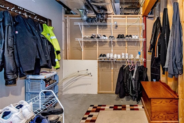 1100 Vernon Hill Blvd, Cedar Rapids, IA 52403 - view of walk in closet