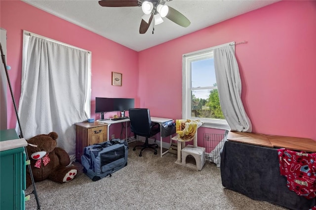 507 2nd St E, Newhall, IA 52315 - carpeted home office with a ceiling fan