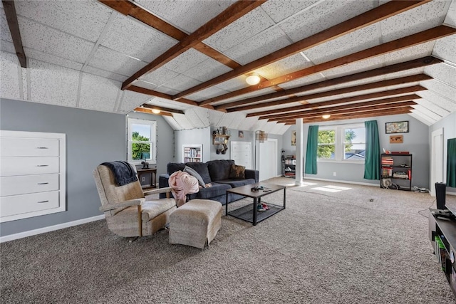 507 2nd St E, Newhall, IA 52315 - carpeted living room with baseboards, lofted ceiling, and healthy amount of natural light
