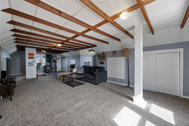 507 2nd St E, Newhall, IA 52315 - living room featuring carpet flooring