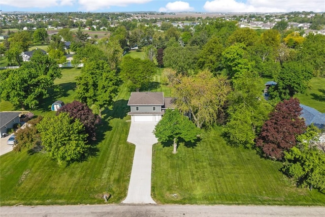 bird's eye view