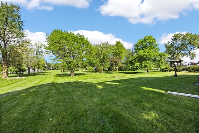 view of property's community with a yard