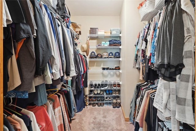 spacious closet featuring carpet