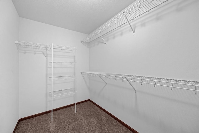 walk in closet with dark carpet