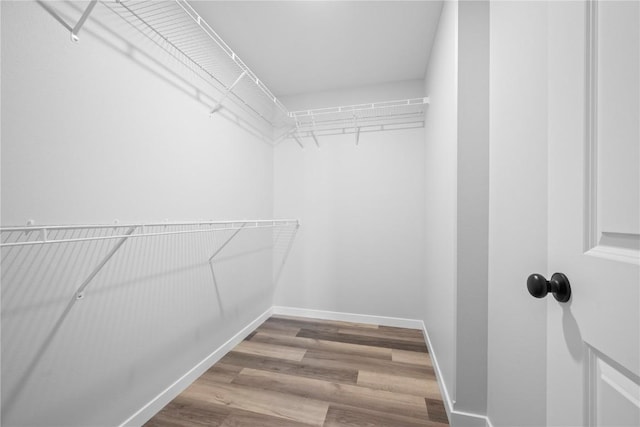 3850 Quail Trail Dr, Marion, IA 52302 - walk in closet with wood finished floors