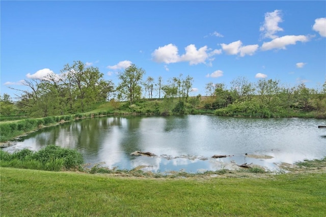 829 Union Ave, Lowden, IA 52255 - water view