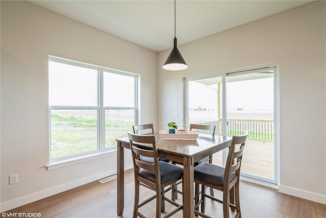 2559 Bluegrass St, Marion, IA 52302 - dining space with baseboards, healthy amount of natural light, and wood finished floors