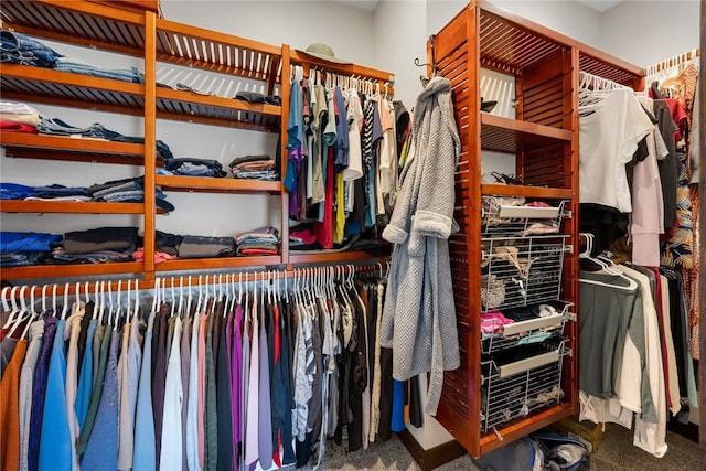 302 6th St NE, Mount Vernon, IA 52314 - spacious closet featuring carpet flooring