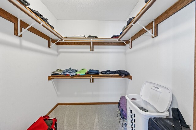 1451 Chamberlain Dr, Iowa City, IA 52240 - walk in closet featuring carpet flooring