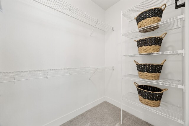 424 15th Ave SW, Mount Vernon, IA 52314 - walk in closet with carpet flooring