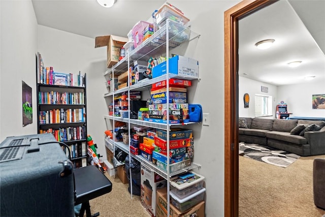 395 Carlyle Dr, North Liberty, IA 52317 - view of storage room