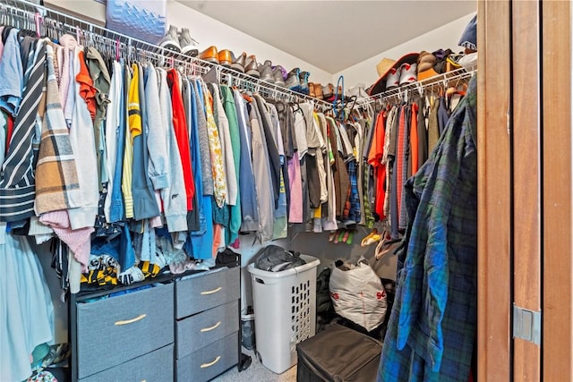 395 Carlyle Dr, North Liberty, IA 52317 - view of walk in closet